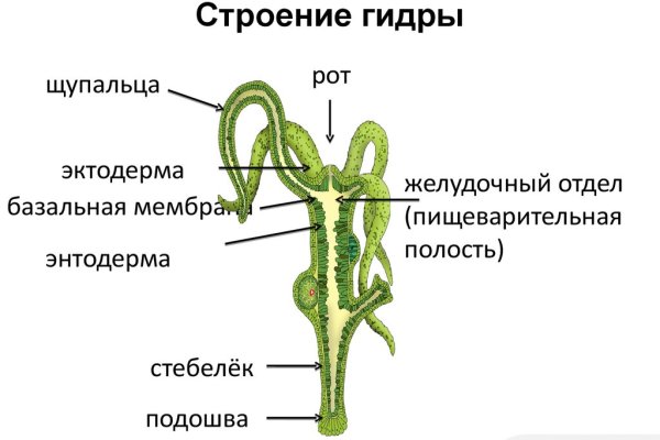 Аутентификатор кракен