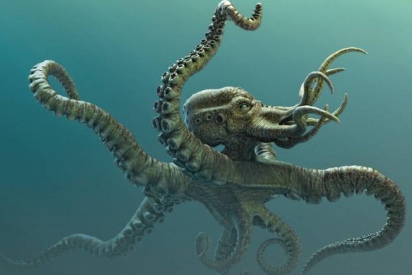 Kraken at17