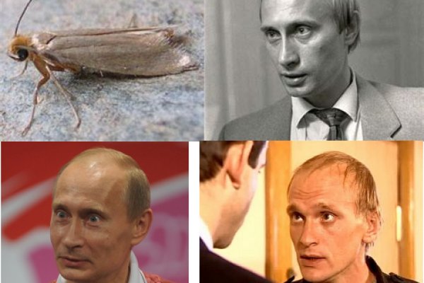 Что такое кракен шоп
