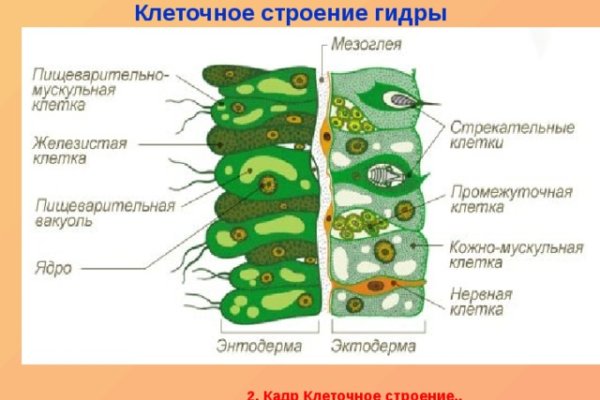 Кракен сайт
