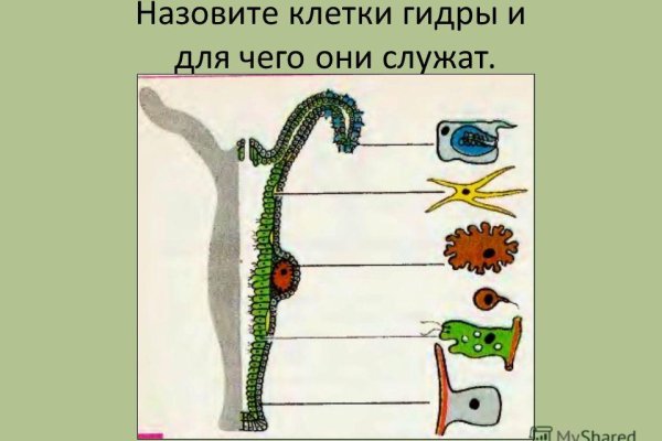 Кракен ссылка прокатис