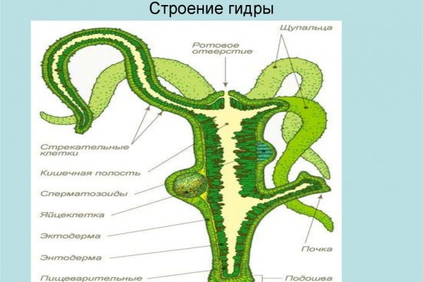 Сайт кракен тор браузера