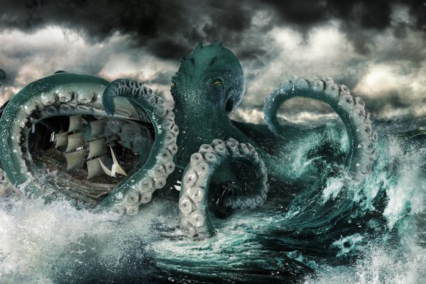 Kraken 13 at com