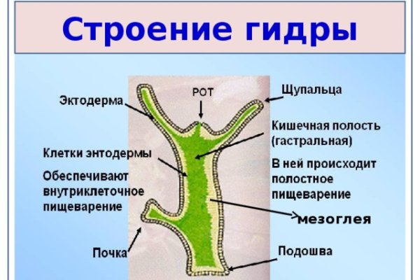 Оригинальные ссылки кракена