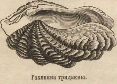 Кракен интернет